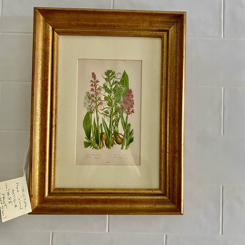 Gold Framed Authentic 1890's HAND PAINTED Floral Botanical Art